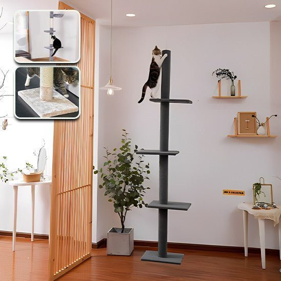 arbre a chat 1 pilier gris 3 etages fixe avec 1 chat au sommet avec 2 fenetres