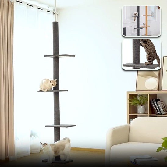arbre a chat 1 pilier noir 3 etages fixe avec 2 chat 2 fenetres avec chat