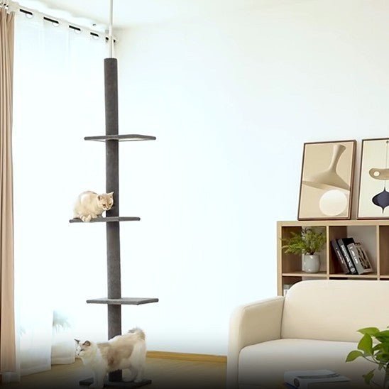 arbre a chat 1 pilier noir 3 etages fixe avec 2 chat