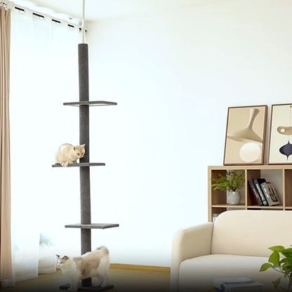 arbre a chat 1 pilier noir 3 etages fixe avec 2 chat