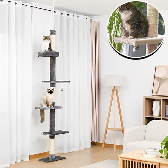 arbre a chat 1 pilier noir 4 etages fixe avec griffoir 2 chat et une fenetre