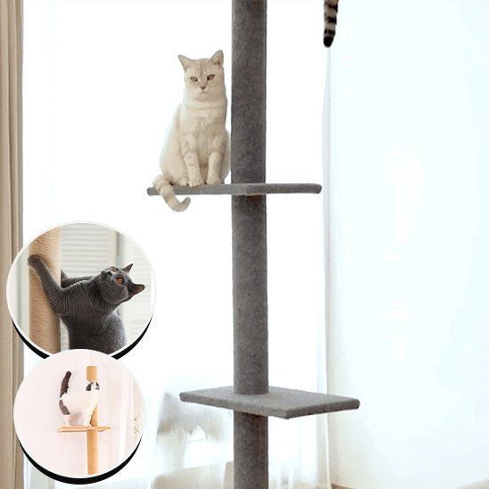 arbre a chat 1 pilier noir coupe avec 1 chat 2 fenetres avec chat