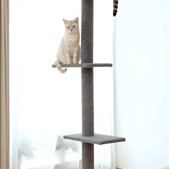arbre a chat 1 pilier noir coupe avec 1 chat