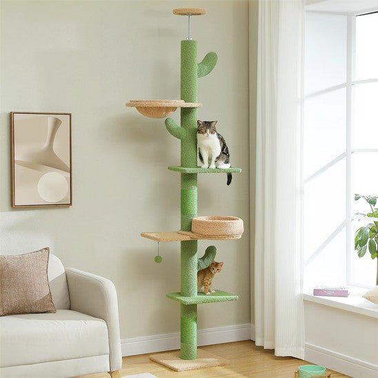 arbre a chat vert maron 5 etages avec 2 chats