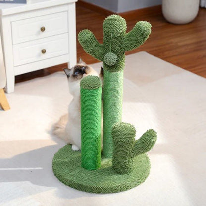 griffoir a chat cactus vert avec 1 chat cache derriere