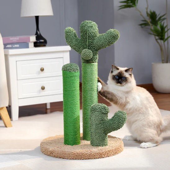 griffoir a chat cactus vert avec 1 chat debout de cote