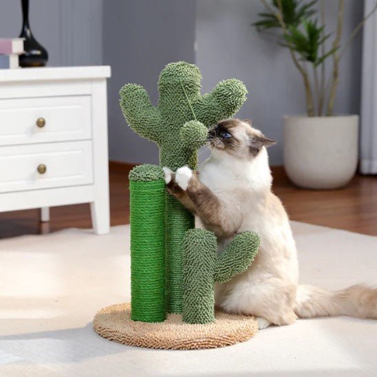 griffoir a chat cactus vert avec 1 chat debout jouant avec la boule