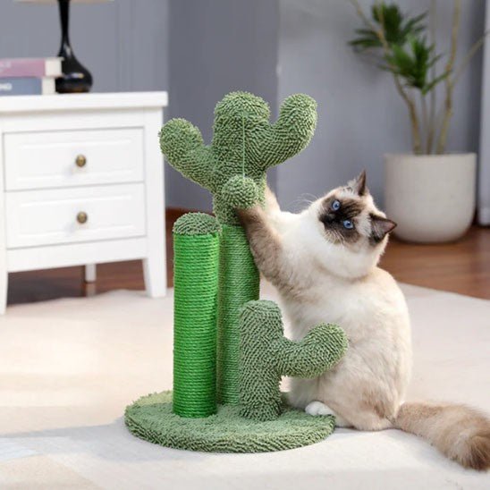 griffoir a chat cactus vert avec 1 chat debout