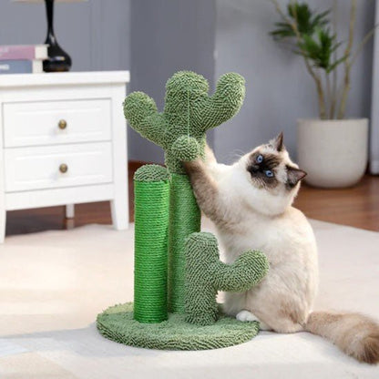 griffoir a chat cactus vert avec 1 chat debout