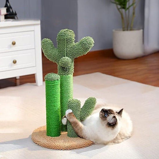 griffoir a chat cactus vert avec 1 chat