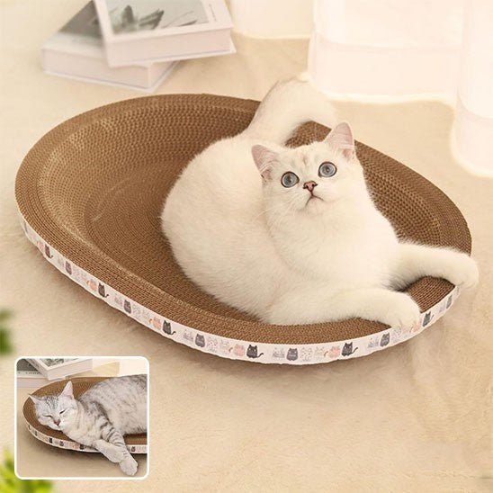 griffoir oval creux avec un chat allonge un cote et une fenetre avec un chat