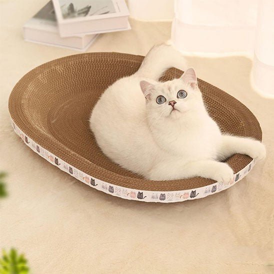griffoir oval creux avec un chat allonge un cote