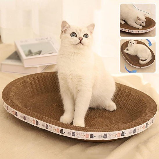 griffoir oval creux avec un chat assis a interieur et 2 fenetres avec 2 chats