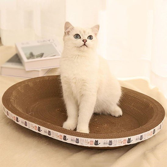 griffoir oval creux avec un-chat assis a interieur