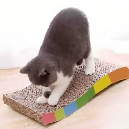 griffoir pour chat avec bande multicolor chat au dessus