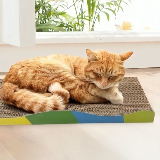 griffoir pour chat avec bande multicolor chat couche au dessus qui dort