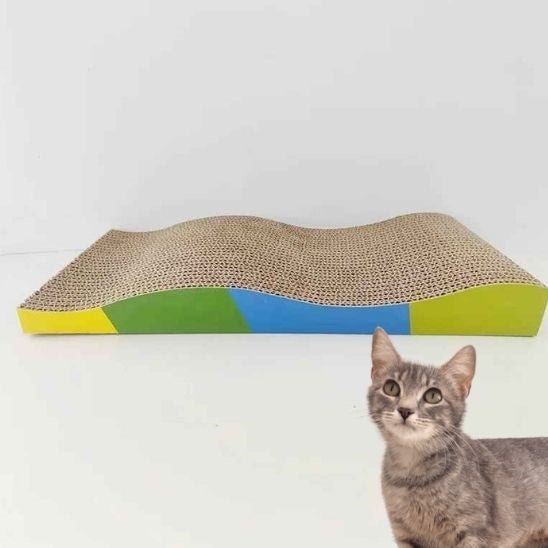 griffoir pour chat avec bande multicolor chat en avant plan