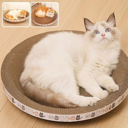 griffoir rond creux avec un chat a interieur et 2 fenetre avec 2 chats