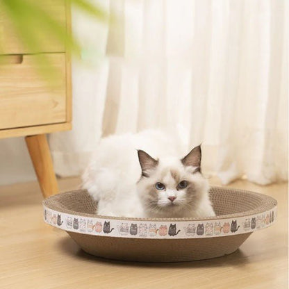 griffoir rond creux avec un chat regardant en face