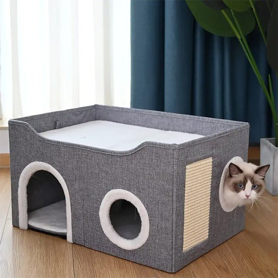niche pour chat avec chat sur fenetre