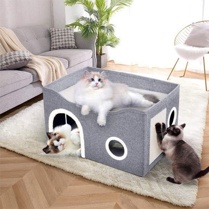 niche pour chat partagee par trois chat